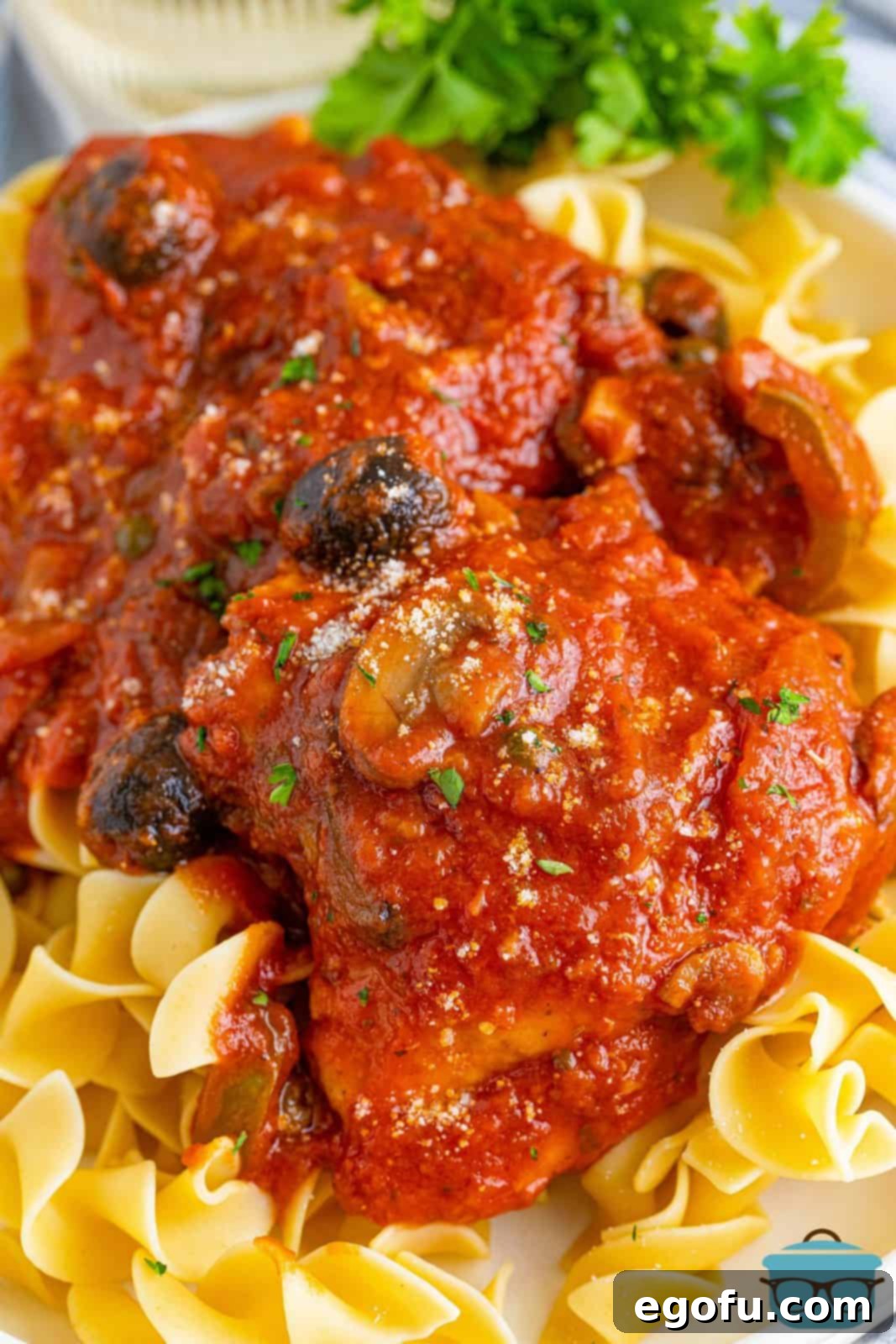 Close up of finished Chicken Cacciatore over egg noodles, showcasing rich sauce and tender chicken.