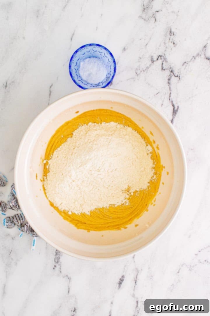 Dry ingredients added to butter mixture, in the process of being gently combined.