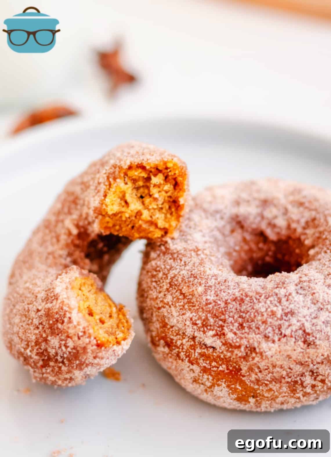 Two Baked Pumpkin Donuts on a white plate, one broken in half to showcase its moist, cake-like interior.