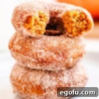 Square image of stacked Pumpkin Donuts with top one broken in half, highlighting the texture.