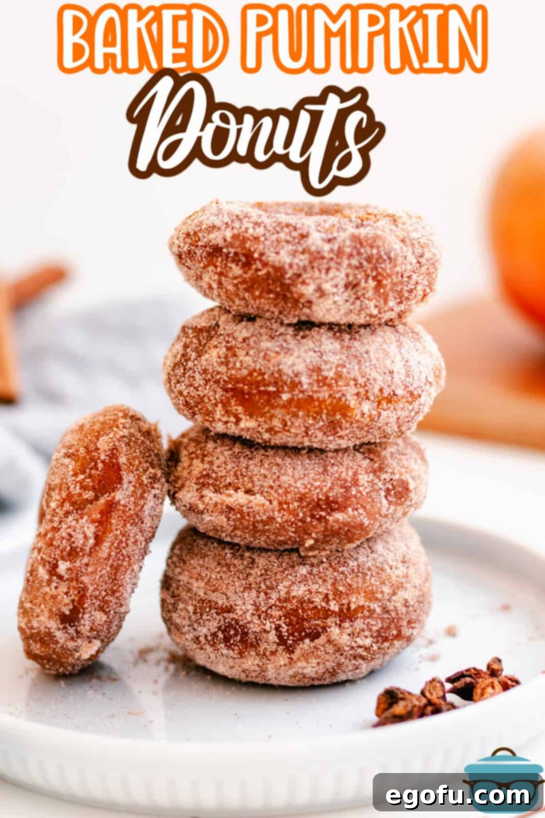Stacked Baked Pumpkin Donuts on white plate with one donut leaning against it, showcasing the cinnamon sugar coating.