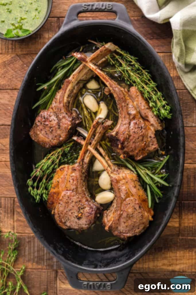 Succulent Lamb Chops 13 Overhead shot of beautifully cooked Lamb Chops, freshly out of the oven, glistening and resting in the pan.