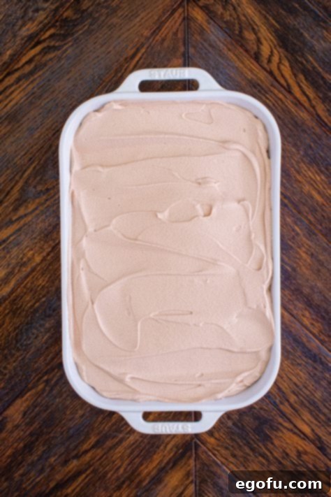 overhead view of frosted chocolate cake in a baking dish.