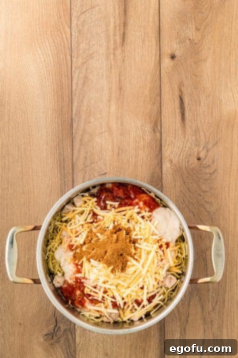 A pot with cooked pasta, chicken, cream of chicken soup, salsa, sour cream, cheese, and taco seasoning.
