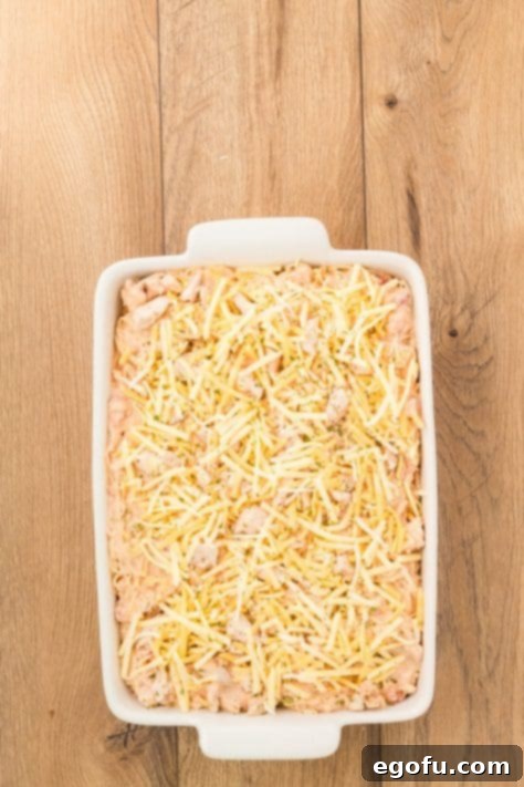 Chicken spaghetti topped with shredded cheese and dried parsley in a baking dish.