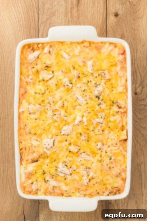 Freshly baked Chicken Spaghetti in a baking dish, hot and bubbly.