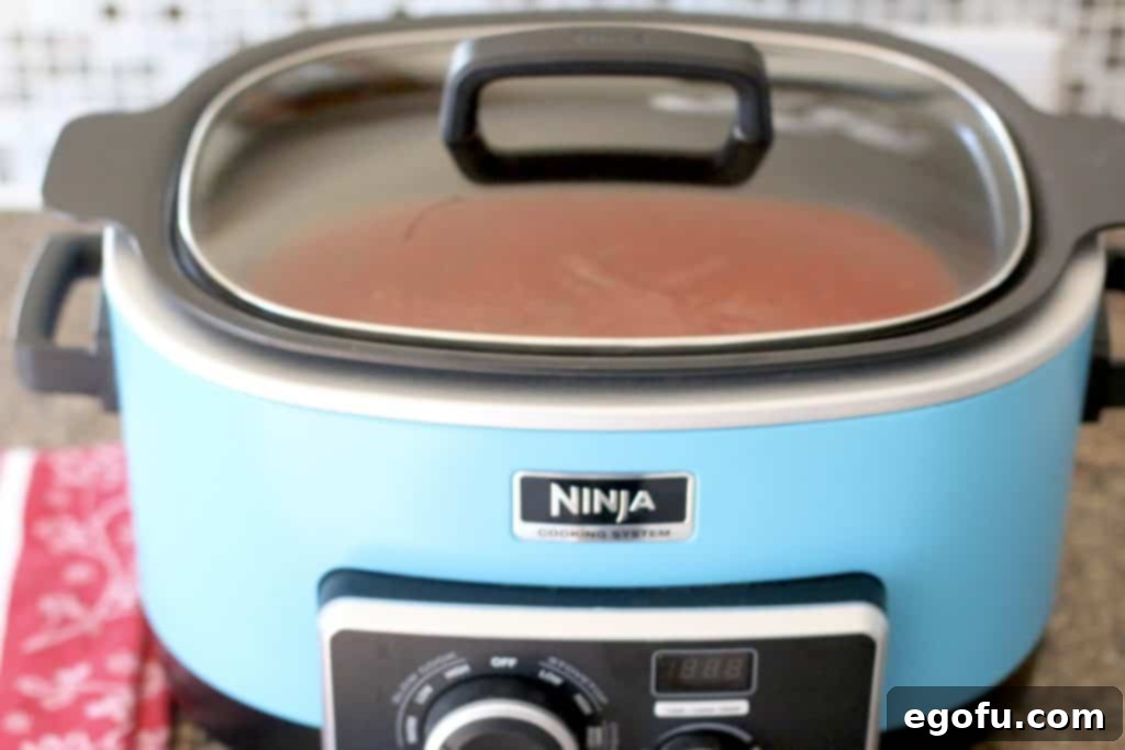 Slow Simmered Homemade Meatballs with Zesty Marinara 9 homemade spaghetti marinara sauce in a slow cooker with the lid on