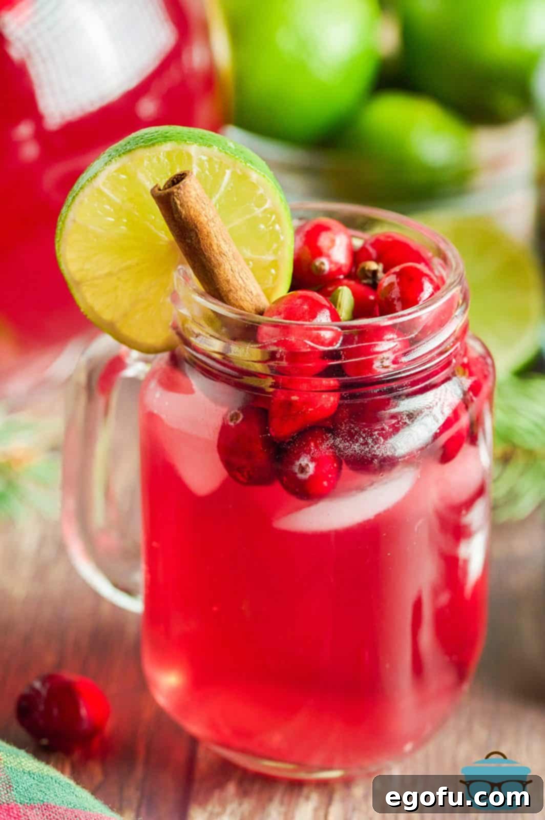 Crimson Bubbly 2 Close up of Cranberry Wine Spritzer in glass with cranberries, cinnamon stick and lime silce. A perfect festive drink for winter gatherings.