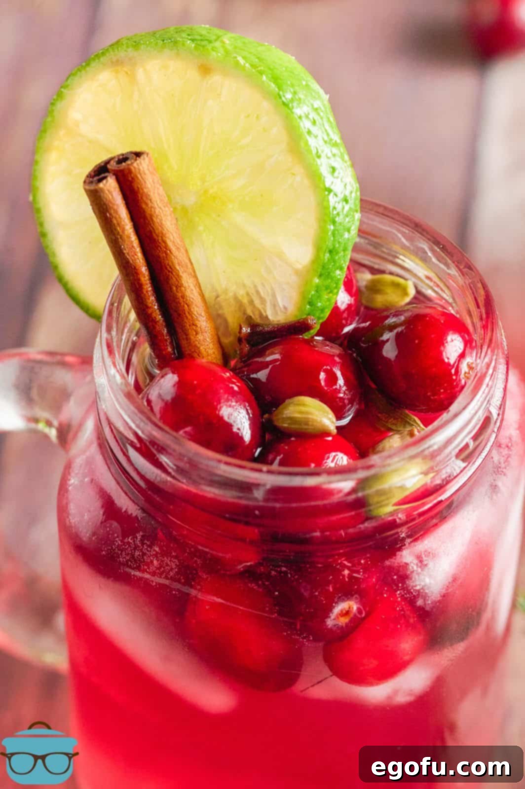 Crimson Bubbly 9 Close up of top of glass of Cranberry Wine Spritzer showing garnishes. A delightful detail for your festive drink.