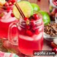 Crimson Bubbly 10 cranberry wine spritzer recipe from The Country Cook