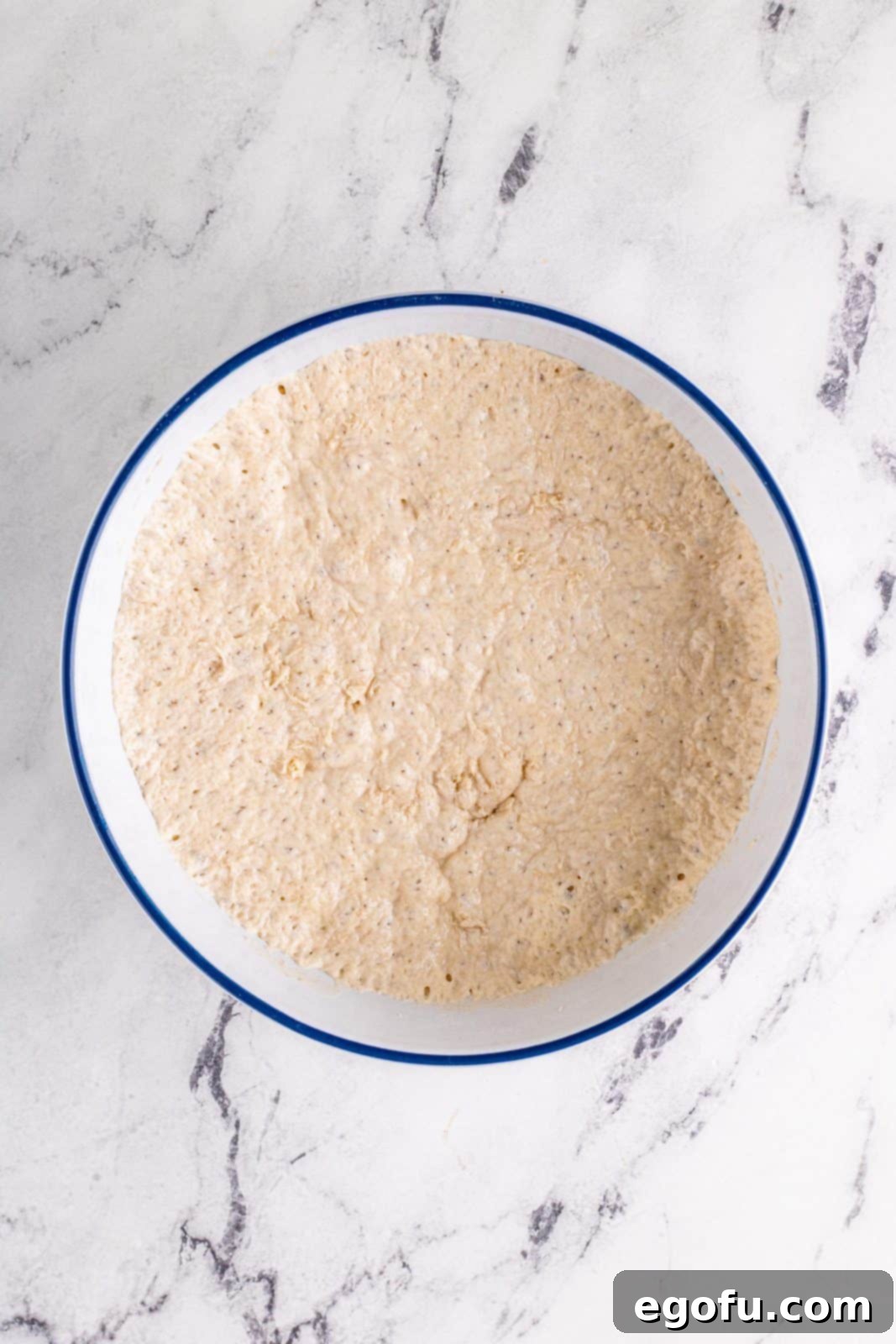 Risen no-knead dough in a bowl, visibly bubbly and expanded after its long fermentation.