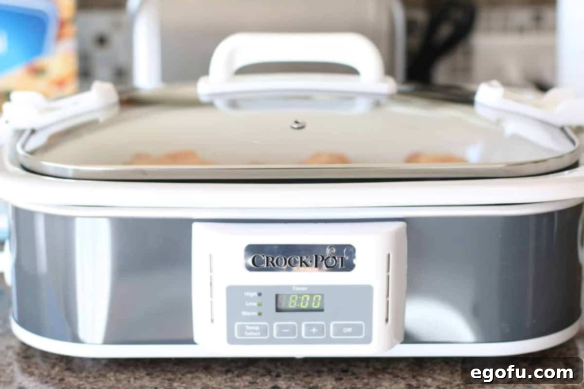 A covered white and silver slow cooker, cooking the chicken and sauce.