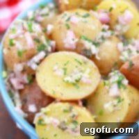 French Potato Salad recipe thumbnail.