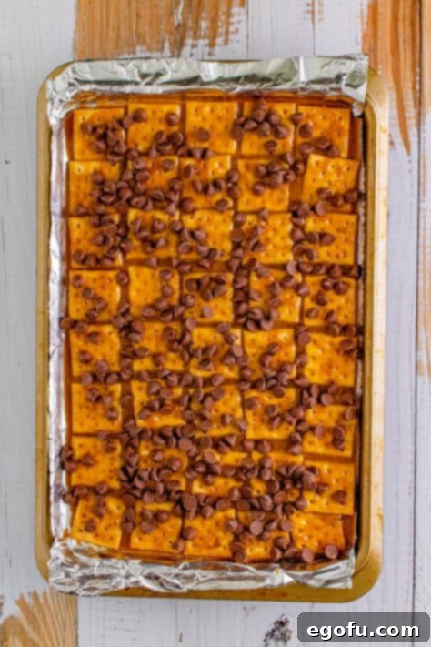 Christmas Caramel Cracker Crunch 15 evenly sprinkled chocolate chips on top of baked toffee crackers.