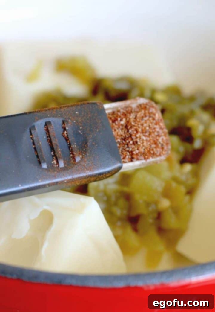 taco seasoning in a measuring spoon.