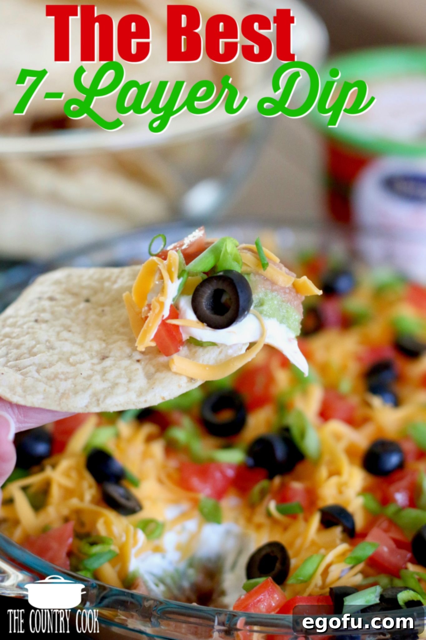 The Best Mexican 7-Layer Dip recipe from The Country Cook