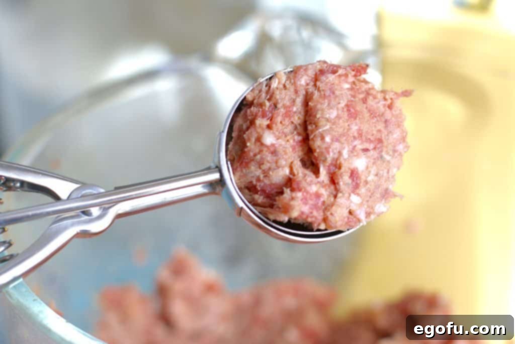 a spring loaded cookie scooper used to make round meatballs