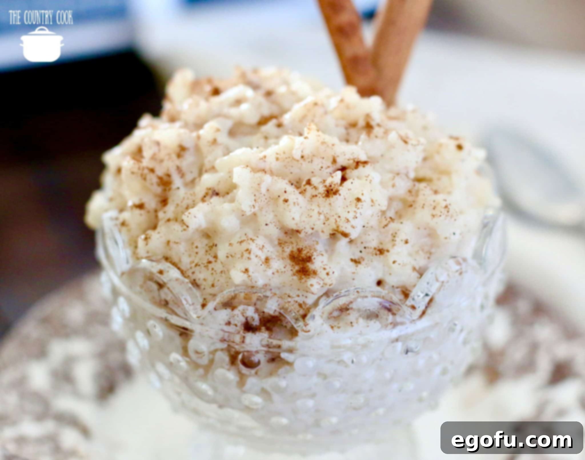 Creamy Crock Pot Rice Pudding 2 Slow cooker rice pudding recipe in a clear dessert bowl with two cinnamon sticks inserted.