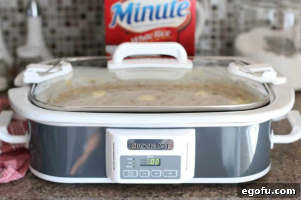 Creamy Crock Pot Rice Pudding 8 casserole crock pot, covered, cooking easy rice pudding.