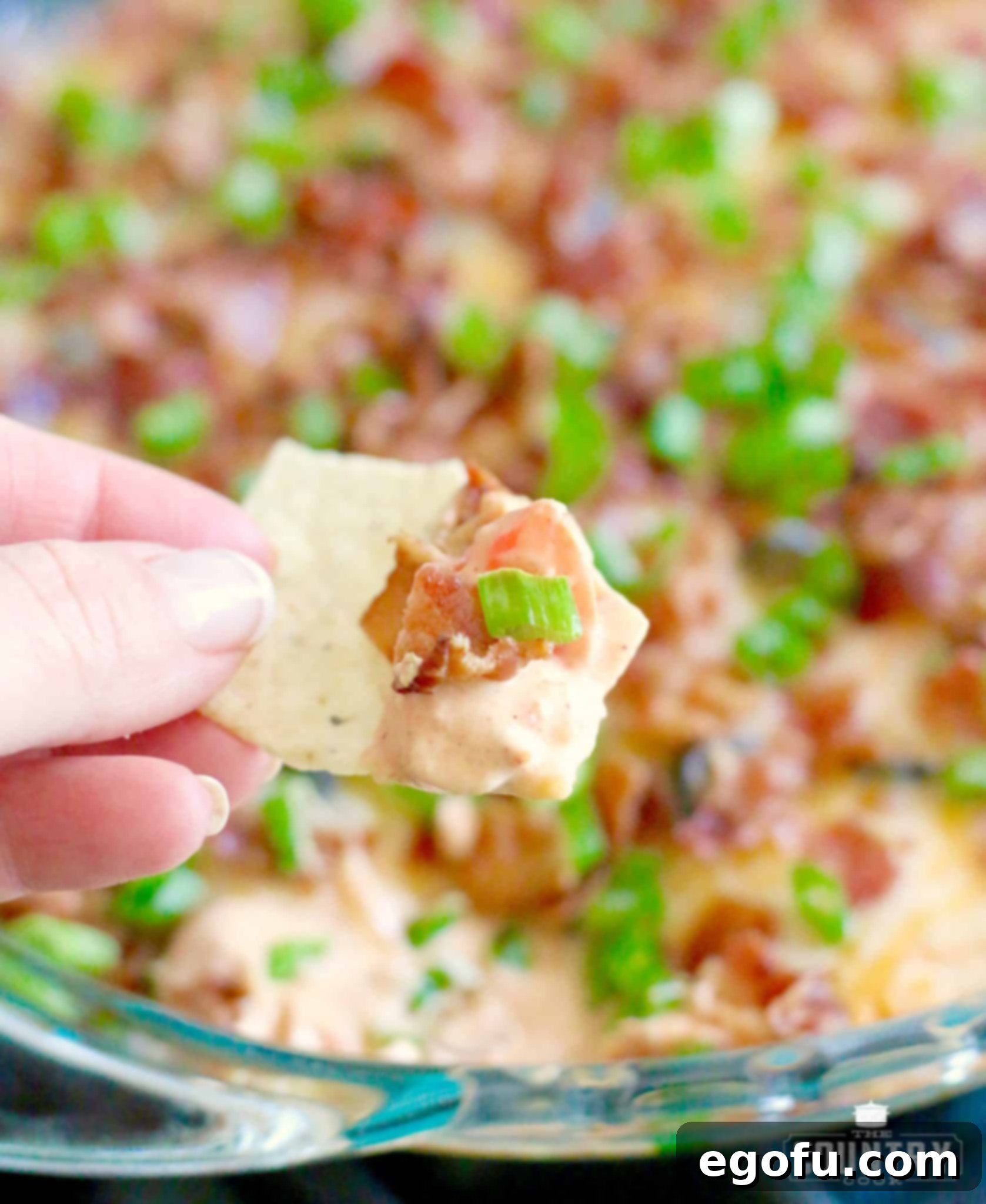 Hot Cheesy Bacon Dip 11 A tortilla chip being dipped into the rich, warm bacon cheddar dip, showcasing its creamy texture.