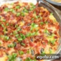 Hot Cheesy Bacon Dip 12 Warm Bacon Cheddar Dip