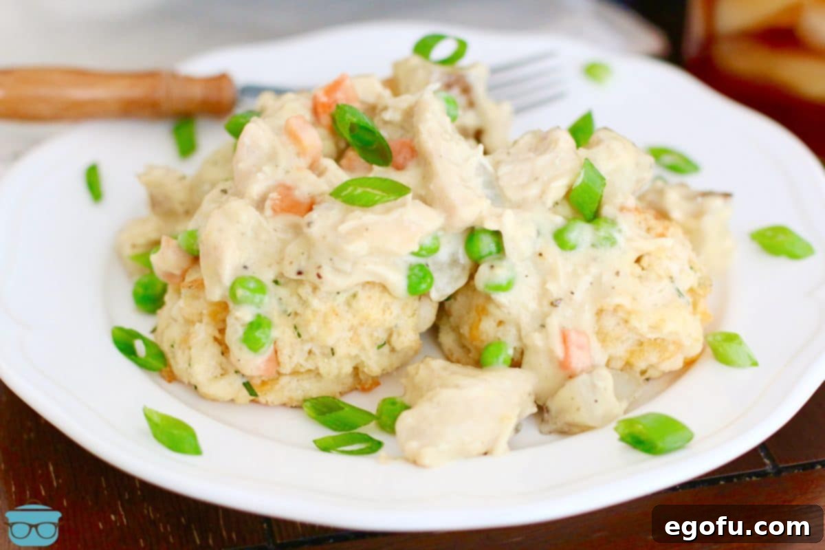 a white plate topped with biscuits that have chicken pot pie filling on top.