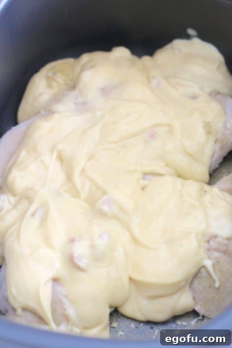cream of chicken poured over chicken breasts in slow cooker.