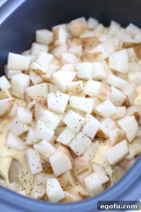 diced potatoes on top of cream soup mixture in slow cooker.