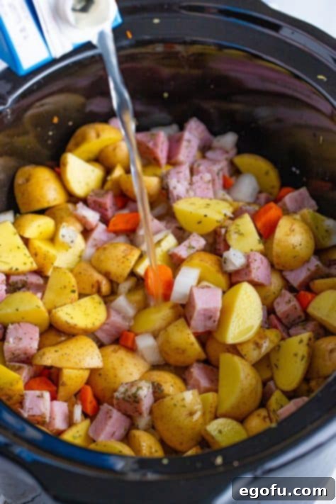 Chicken broth being poured over a full Crockpot.