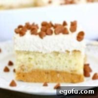 Harvest Moon Pumpkin Dream 19 Easy Magic Pumpkin Layer Cake