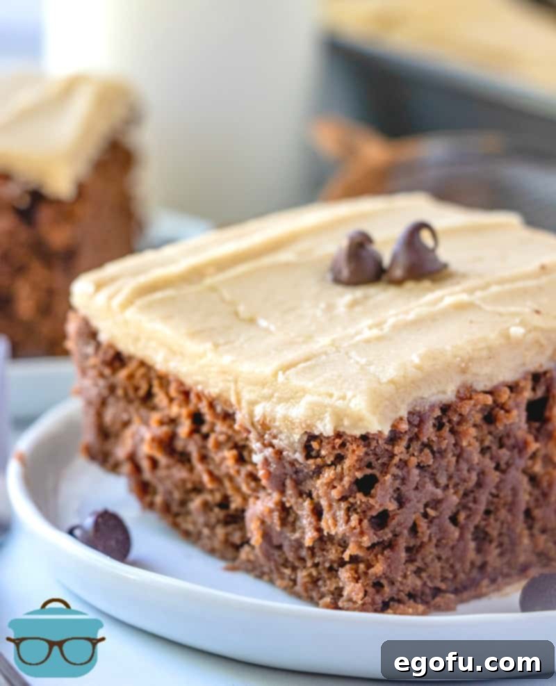 close up of slice of mayonnaise cake on a circle white plate.