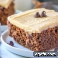 Chocolate Mayonnaise Cake