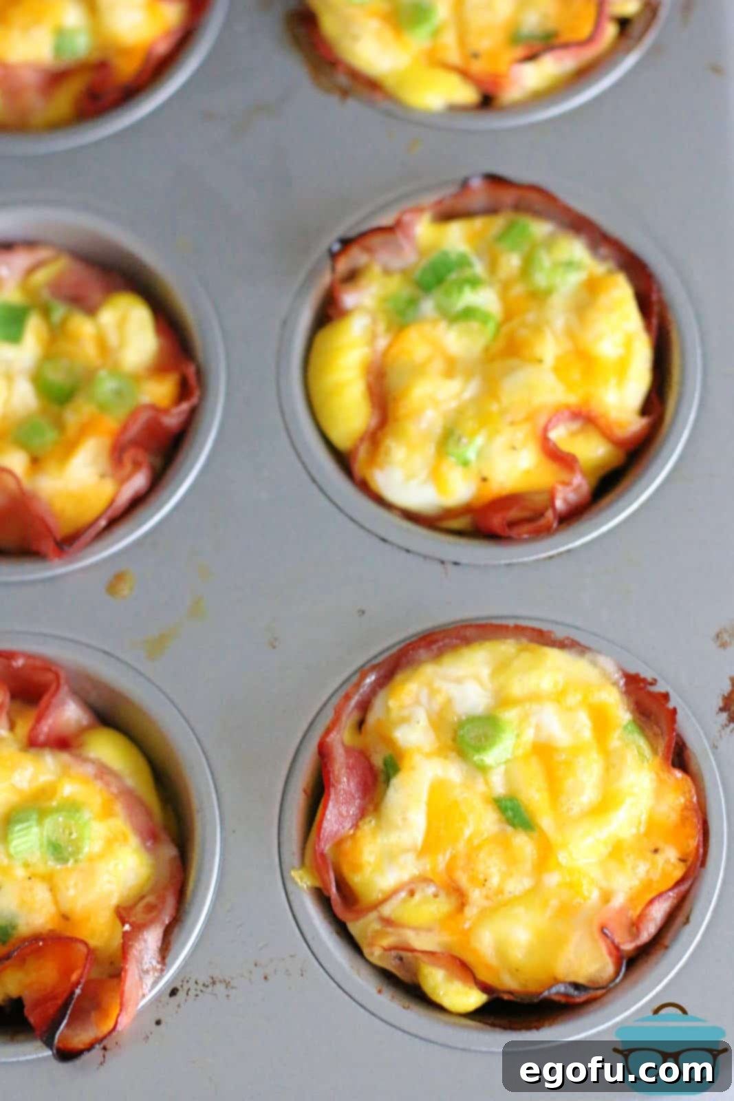 Breakfast Ham and Egg Nests 11 Baked Eggs in Ham Cups shown in a muffin tin.