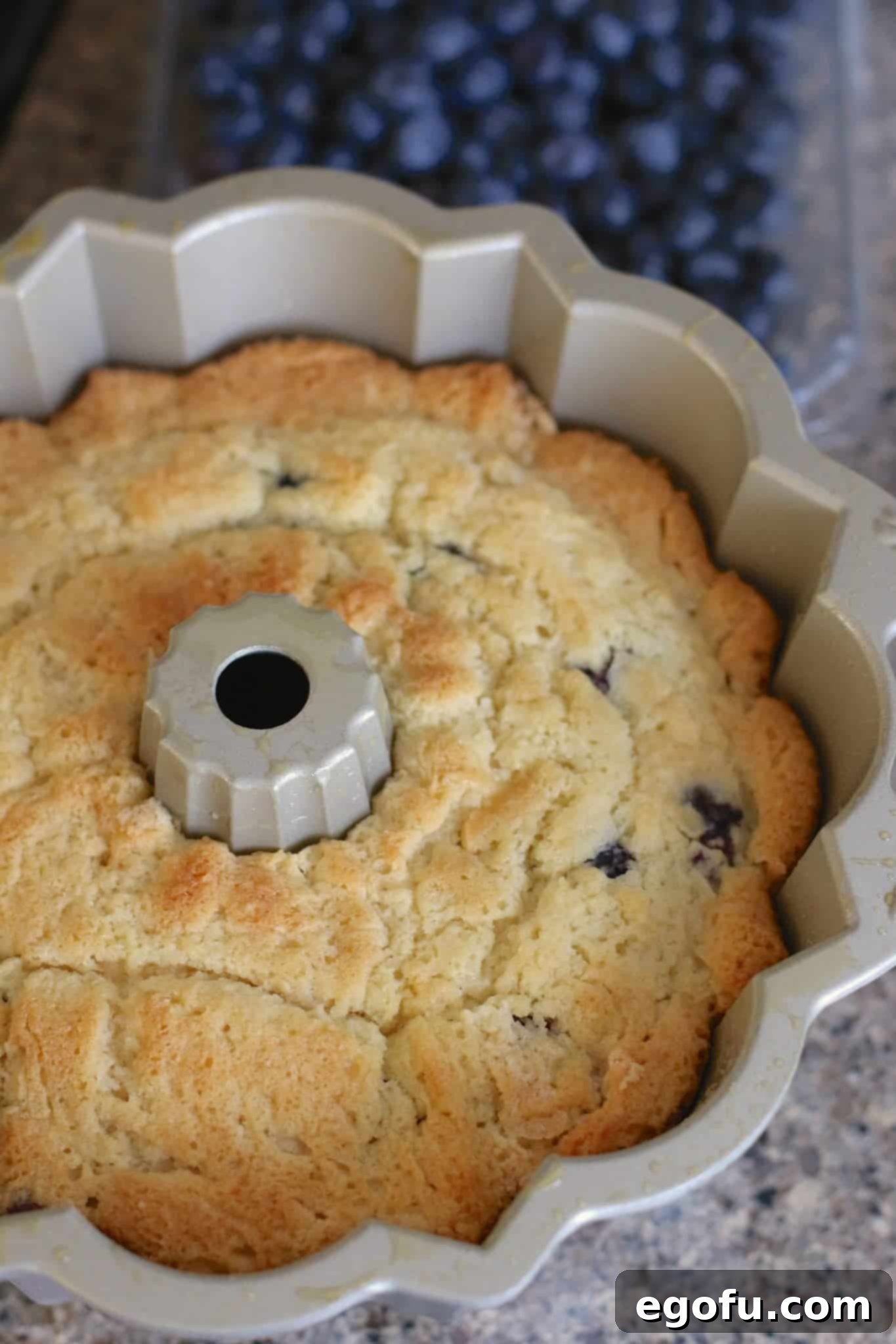 The fully baked blueberry muffin cake, golden brown and perfectly risen, resting in its bundt pan after being removed from the oven.