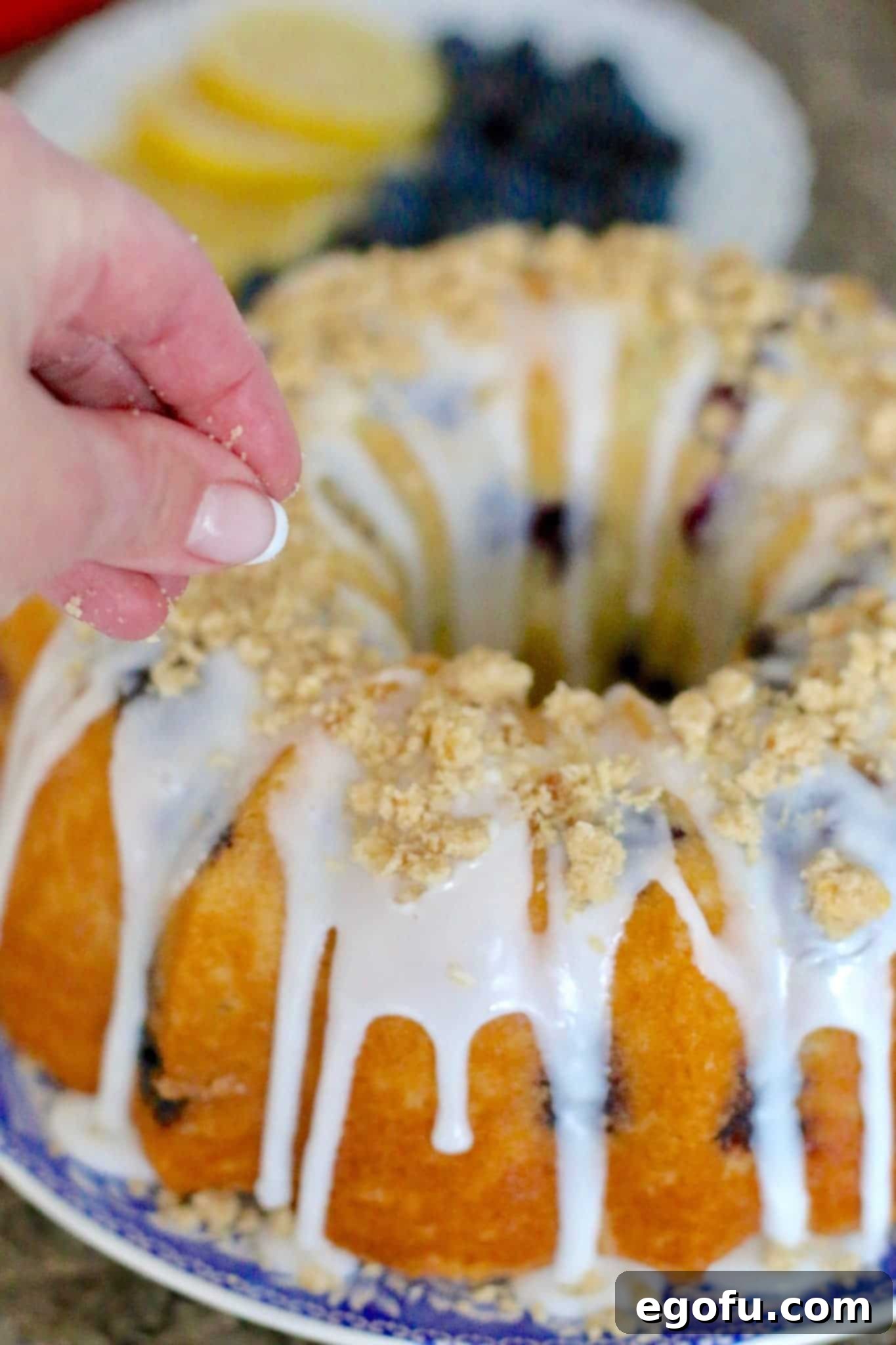 The exquisite blueberry cake, now beautifully finished with a delightful crumb topping scattered over the glaze, displayed on a charming white and blue plate.