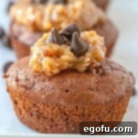 German Chocolate Chip Muffins