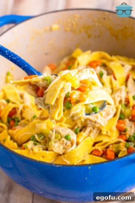 Soul-Warming Chicken and Noodles 17 A serving spoon lifting a generous scoop of Hearty Chicken and Noodles from the pot, showcasing the finished dish.