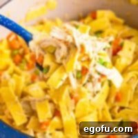 Soul-Warming Chicken and Noodles 9 A close-up shot of a single scoop of Hearty Chicken and Noodles, emphasizing its creamy texture and rich ingredients.