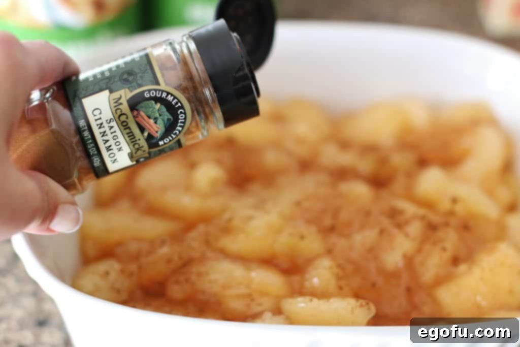 Effortless Apple Crisp 4 Cinnamon generously sprinkled on apple pie filling in a baking dish, ready for the topping.