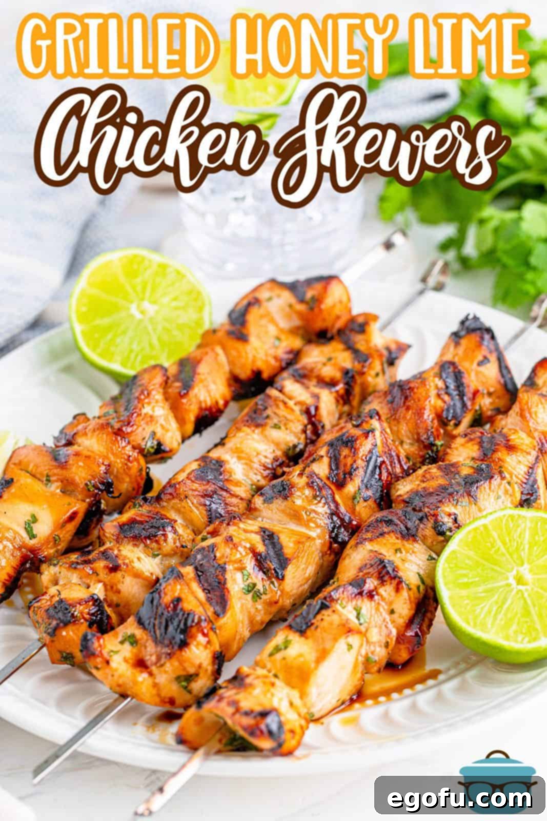 Grilled Honey Lime Chicken Skewers shown on a white plate with sliced fresh limes. 