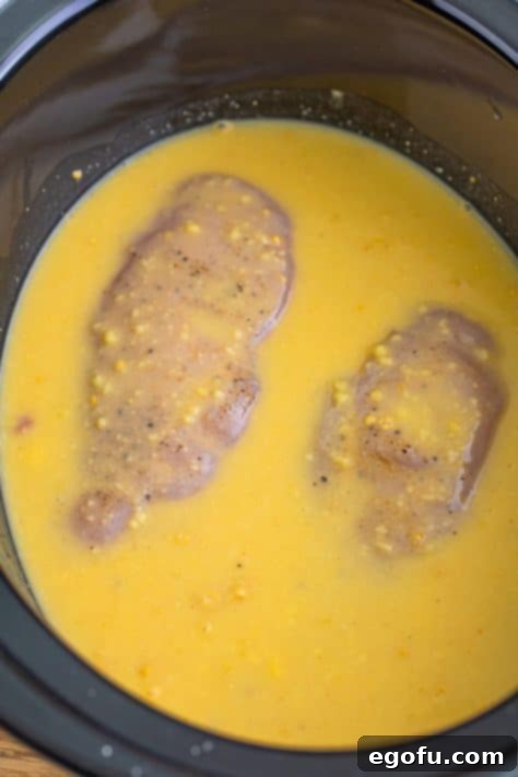 Seasoned chicken breast in cream of chicken soup, chicken gravy mix, and water.