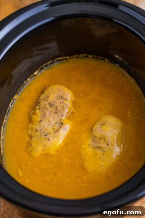 Cooked chicken in gravy.