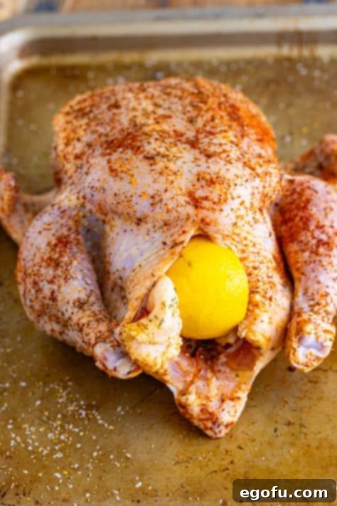 Lemon and onion stuffed whole raw chicken.