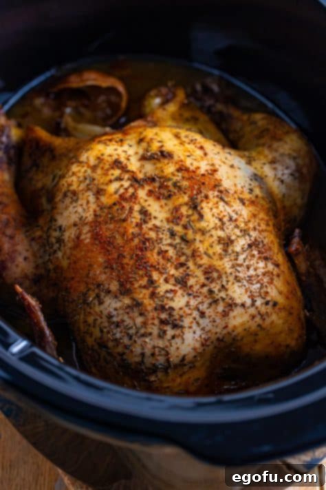 Cooked whole rotisserie style chicken in the Slow Cooker.