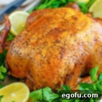 Close up looking at a Crock Pot Rotisserie Chicken.