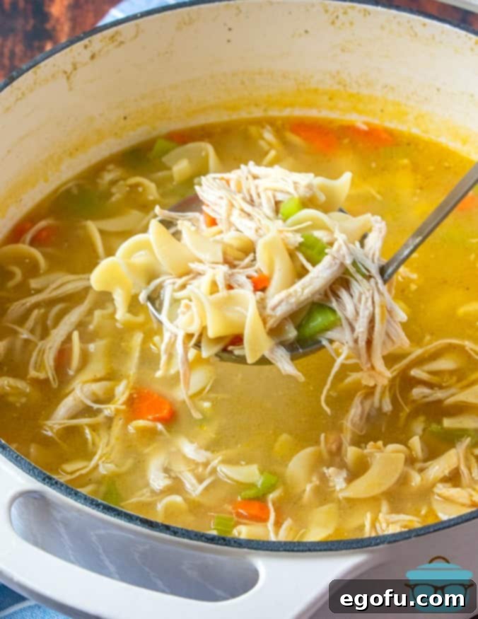 Ladleful, One Pot Chicken Noodle Soup recipe, showcasing the rich broth and tender ingredients.