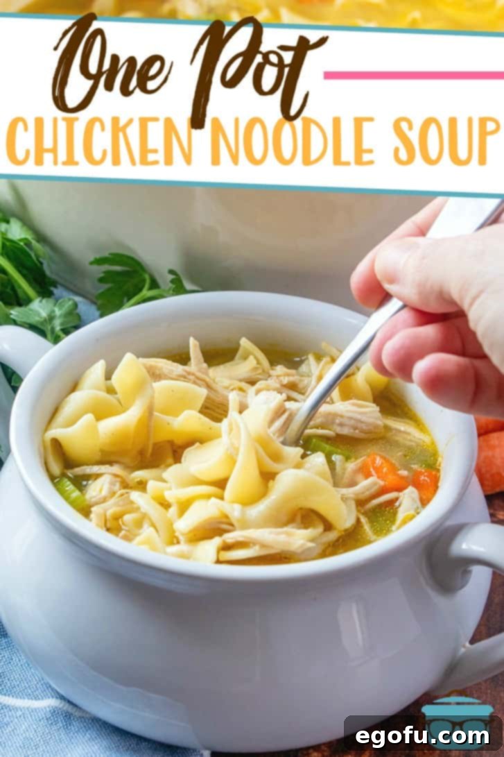 Main Image, One Pot Chicken Noodle Soup recipe, pictured in a small white bowl with a spoon, ready to be enjoyed.