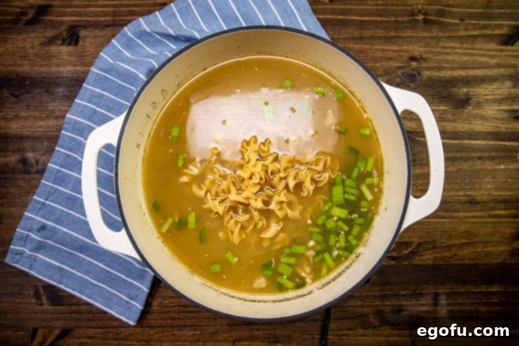 Dried egg noodles added to the chicken broth mixture in a large pot, ready to cook.