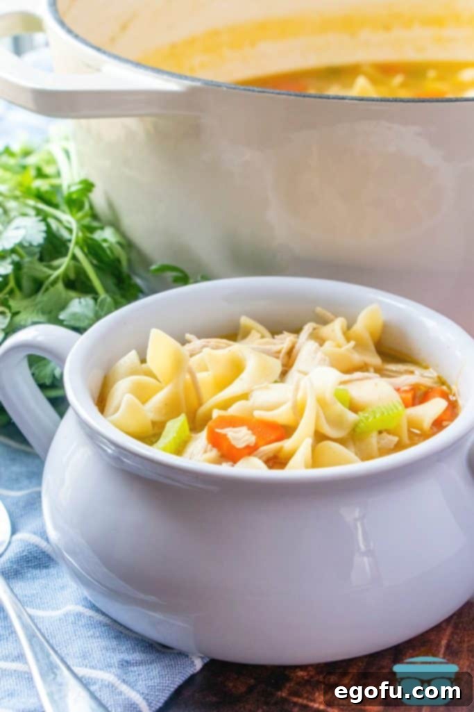Easy Chicken Noodle Soup recipe, made with chicken breasts and egg noodles, served steaming hot in a white bowl with the stock pot blurred in the background.