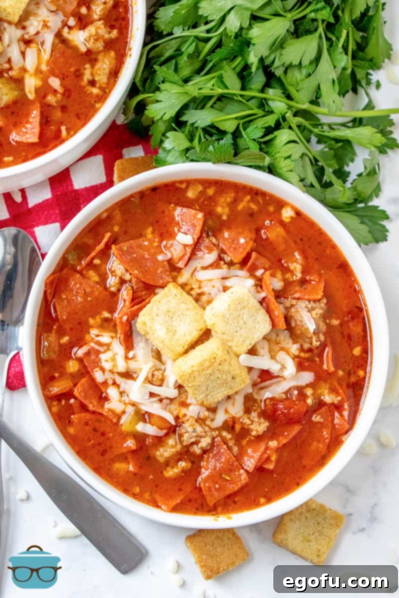 overhead photo of pizza soup in a white bowl with fresh parsley on the side.